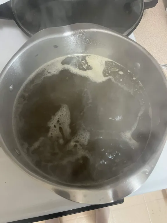 Beef Bone Broth